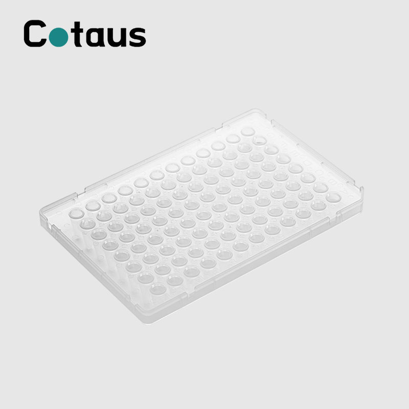 96 Well 0.1ml سفید PCR Plate Full Skirt