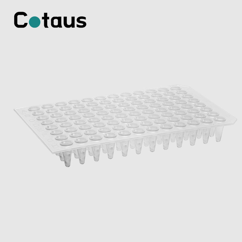 96 Well 0.2ml شفاف بدون دامن پلیت PCR